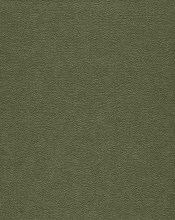 VS-10572-1-TANPP English Moss5